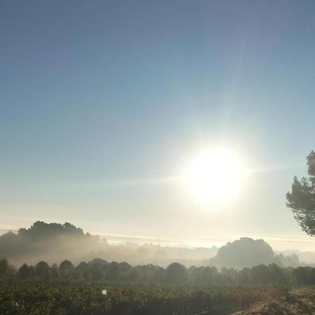 Gites A Moussan ,Domaine De La Barque A 5 Mins De Narbonne Eksteriør bilde
