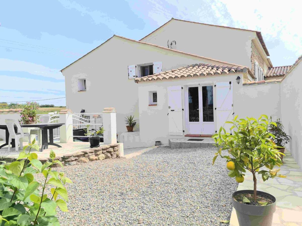 Gites A Moussan ,Domaine De La Barque A 5 Mins De Narbonne Eksteriør bilde
