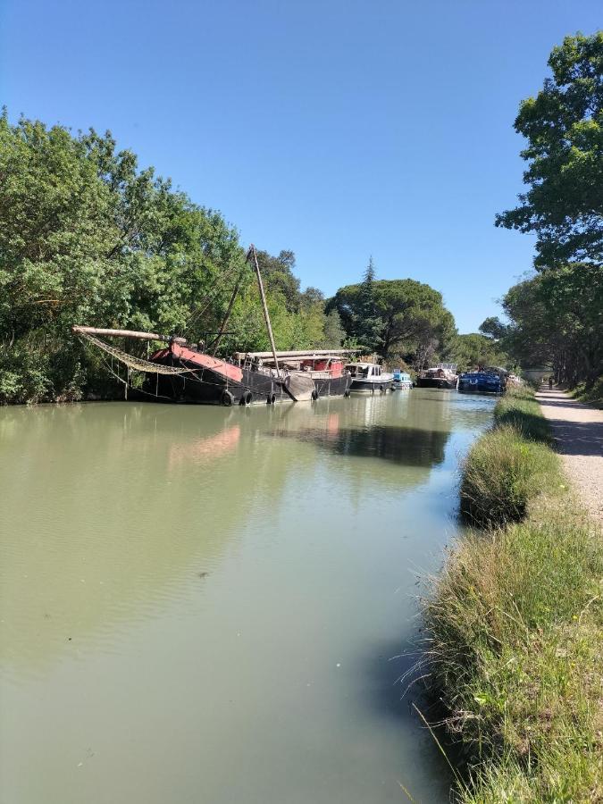Gites A Moussan ,Domaine De La Barque A 5 Mins De Narbonne Eksteriør bilde